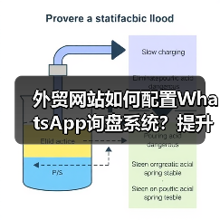 外贸网站如何配置WhatsApp询盘系统？提升沟通效率（图4）