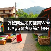 外贸网站如何配置WhatsApp询盘系统？提升沟通效率（图2）