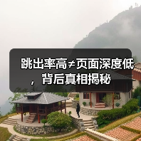 跳出率高≠页面深度低,背后真相揭秘(图4) 跳出率高≠页面深度低,背后真相揭秘(图4)