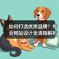 如何打造优质品牌？专业网站设计全流程解析