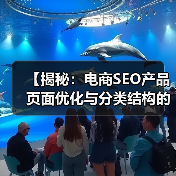 【揭秘：电商SEO产品页面优化与分类结构的秘密】