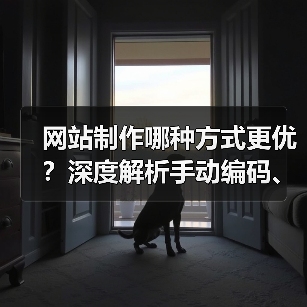 网站制作哪种方式更优？深度解析手动编码、CMS与建站平台的选择（图2）