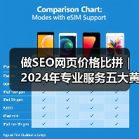 做SEO网页价格比拼｜2024年专业服务五大黄金标准解析（图4）