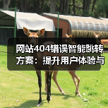 网站404错误智能跳转方案：提升用户体验与SEO的关键