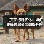 【页面标题优化:如何正确布局关键词提升搜索排名】(图2) 【页面标题优化:如何正确布局关键词提升搜索排名】(图2)