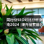 同行业SEO对比分析指南2024 |提升搜索排名的实用策略(图2) 同行业SEO对比分析指南2024 |提升搜索排名的实用策略(图2)