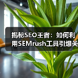 揭秘SEO王者：如何利用SEMrush工具引爆关键词排名