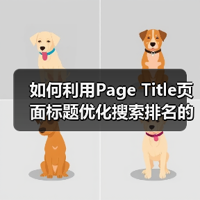 如何利用Page Title页面标题优化搜索排名的秘密技巧(图2) 如何利用Page Title页面标题优化搜索排名的秘密技巧(图2)