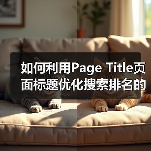 如何利用Page Title页面标题优化搜索排名的秘密技巧(图4) 如何利用Page Title页面标题优化搜索排名的秘密技巧(图4)