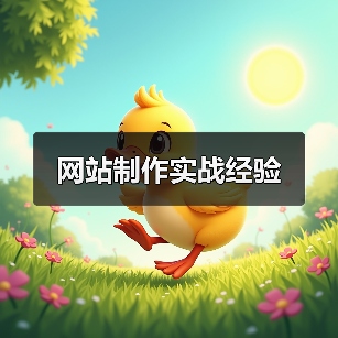 网站制作实战经验（图3）
