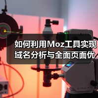 如何利用Moz工具实现域名分析与全面页面优化技巧(图2) 如何利用Moz工具实现域名分析与全面页面优化技巧(图2)