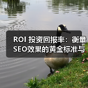 ROI 投资回报率:衡量SEO效果的黄金标准与实践指南(图3) ROI 投资回报率:衡量SEO效果的黄金标准与实践指南(图3)