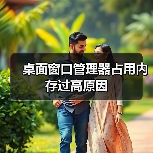 桌面窗口管理器占用内存过高原因(图4) 桌面窗口管理器占用内存过高原因(图4)