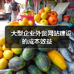 大型企业外贸网站建设的成本效益(图3) 大型企业外贸网站建设的成本效益(图3)