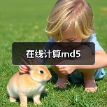 在线计算md5(图4) 在线计算md5(图4)