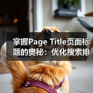 掌握Page Title页面标题的奥秘:优化搜索排名的关键策略(图4) 掌握Page Title页面标题的奥秘:优化搜索排名的关键策略(图4)