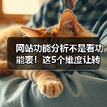 网站功能分析不是看功能表!这5个维度让转化率飙升287%(图2) 网站功能分析不是看功能表!这5个维度让转化率飙升287%(图2)