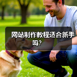 网站制作教程适合新手吗？（图3）