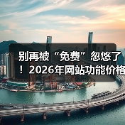 别再被“免费”忽悠了!2026年网站功能价格分析,这3招帮你省下50%预算(图4) 别再被“免费”忽悠了!2026年网站功能价格分析,这3招帮你省下50%预算(图4)