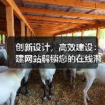 创新设计，高效建设：建网站解锁您的在线潜力