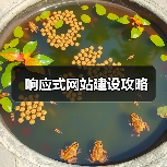 响应式网站建设攻略（图2）