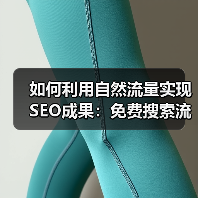 如何利用自然流量实现SEO成果:免费搜索流量的秘密武器(图3) 如何利用自然流量实现SEO成果:免费搜索流量的秘密武器(图3)