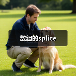 数组的splice(图1) 数组的splice(图1)