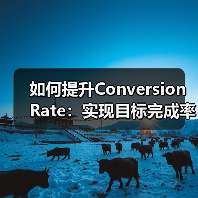 如何提升Conversion Rate:实现目标完成率的秘籍(图3) 如何提升Conversion Rate:实现目标完成率的秘籍(图3)