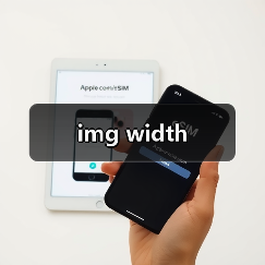 img width（图4）