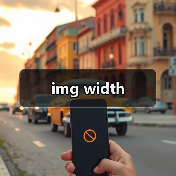 img width（图2）