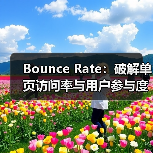 Bounce Rate:破解单页访问率与用户参与度的秘密(图4) Bounce Rate:破解单页访问率与用户参与度的秘密(图4)