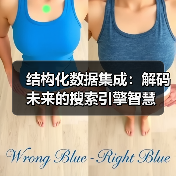 结构化数据集成：解码未来的搜索引擎智慧（图2）