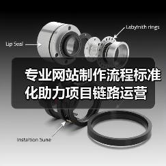 专业网站制作流程标准化助力项目链路运营（图2）