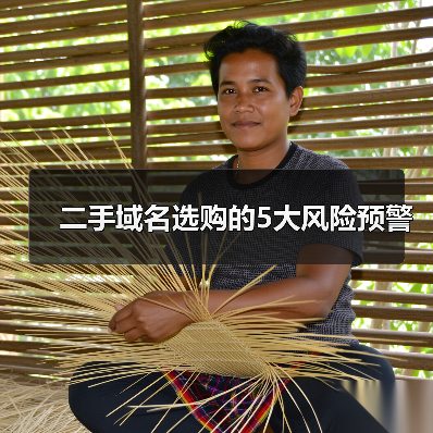 二手域名选购的5大风险预警(图4) 二手域名选购的5大风险预警(图4)