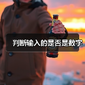 判断输入的是否是数字（图4）