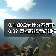 0.1加0.2为什么不等于0.3?浮点数精度问题揭秘(图1) 0.1加0.2为什么不等于0.3?浮点数精度问题揭秘(图1)