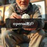 openai账户（图4）