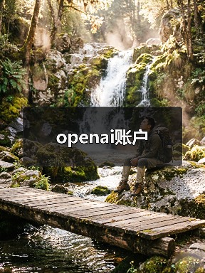 openai账户（图3）