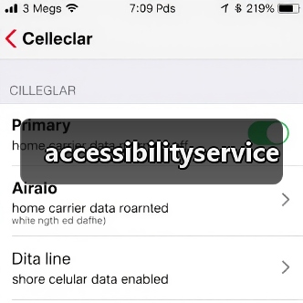 accessibilityservice(图4) accessibilityservice(图4)