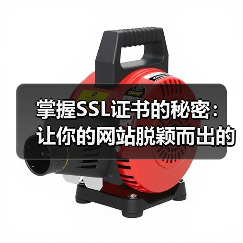掌握SSL证书的秘密:让你的网站脱颖而出的关键武器(图4) 掌握SSL证书的秘密:让你的网站脱颖而出的关键武器(图4)