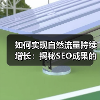 如何实现自然流量持续增长：揭秘SEO成果的秘密