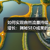 如何实现自然流量持续增长：揭秘SEO成果的秘密（图2）