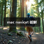 mac navicat 破解（图2）