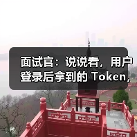 面试官:说说看,用户登录后拿到的 Token,你应该怎么存?存哪里?(图4) 面试官:说说看,用户登录后拿到的 Token,你应该怎么存?存哪里?(图4)