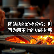 网站功能价格分析:别再为用不上的功能付费了!(图1) 网站功能价格分析:别再为用不上的功能付费了!(图1)