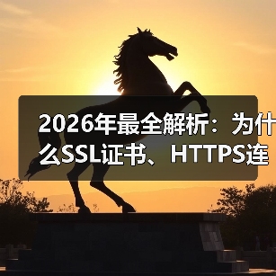 2026年最全解析:为什么SSL证书、HTTPS连接成排名关键(图2) 2026年最全解析:为什么SSL证书、HTTPS连接成排名关键(图2)