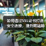 如何通过SSL证书打造安全连接,提升网站排名信号(图4) 如何通过SSL证书打造安全连接,提升网站排名信号(图4)