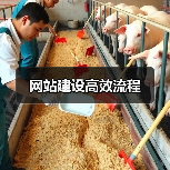 网站建设高效流程(图4) 网站建设高效流程(图4)