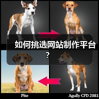 如何挑选网站制作平台?(图2) 如何挑选网站制作平台?(图2)