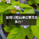 如何让网站建设更具竞争力?(图4) 如何让网站建设更具竞争力?(图4)